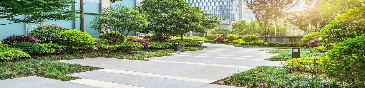 62584339 - park at a sunny day,shanghai,china.